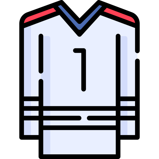 Hockey jersey Special Flat icon