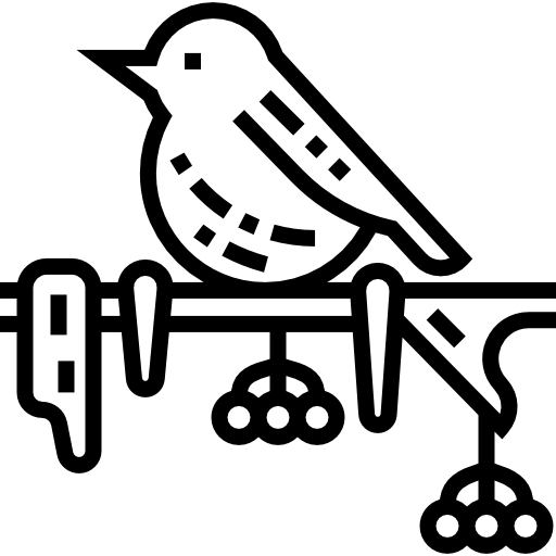 새 무료 아이콘