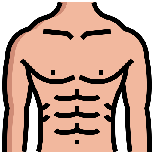 Sixpack abs Icon - Download in Colored Outline Style