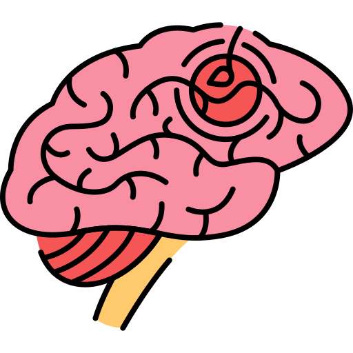 Brain Generic Outline Color icon