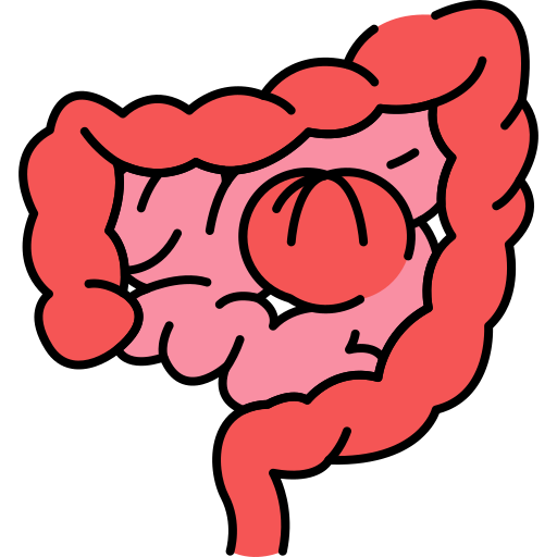 intestinos grátis ícone