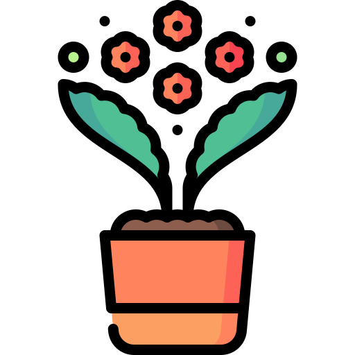 kalanchoe icono gratis