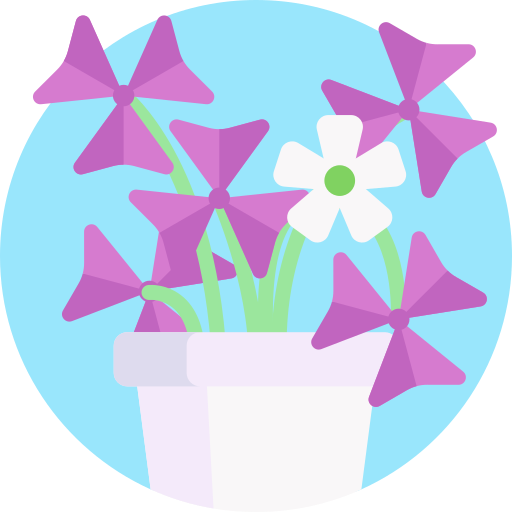 oxalis triangularis icono gratis