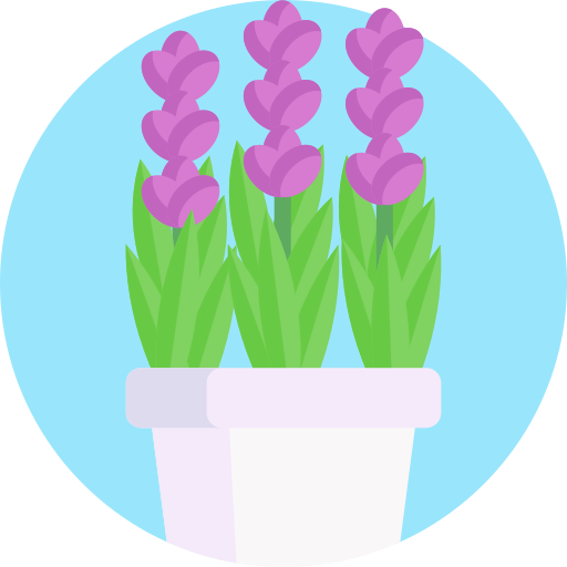 lavanda icono gratis