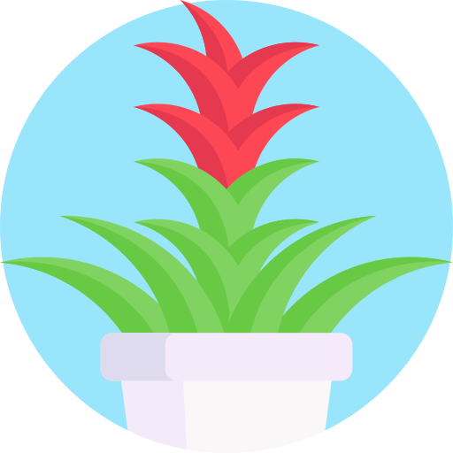 guzmania icono gratis