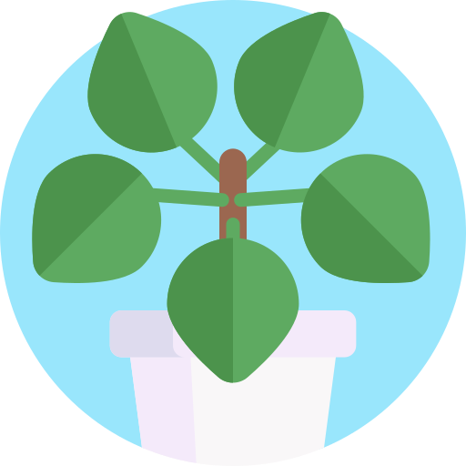 pilea icono gratis