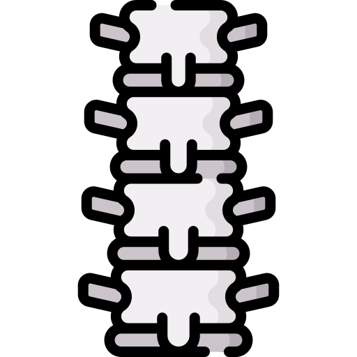 columna vertebral icono gratis