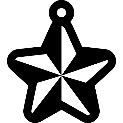 Christmas star icon