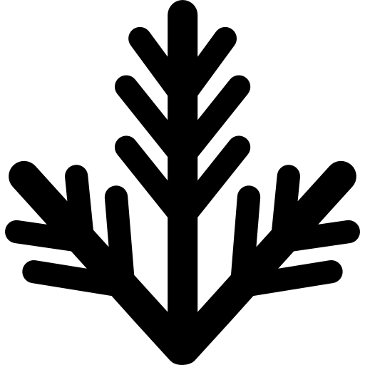 weihnachtszweigverzierung kostenlos Icon weihnachtszweigverzierung kostenlos Icon