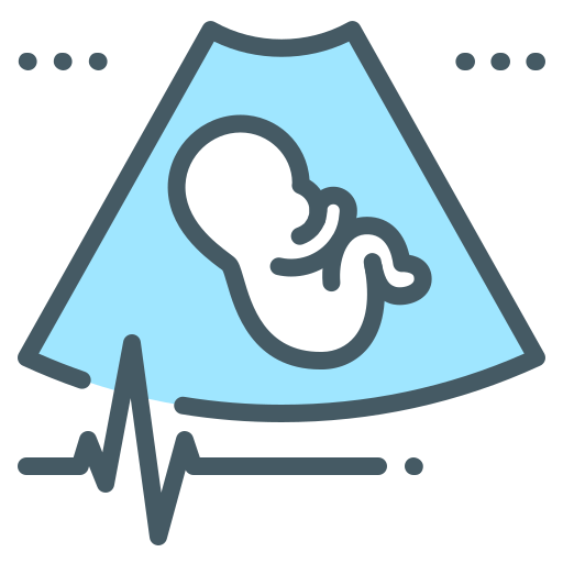 fetal icono gratis