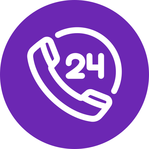 Number 24 Generic Circular icon