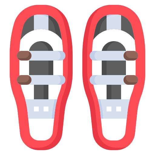 Snowshoes - Free transportation icons