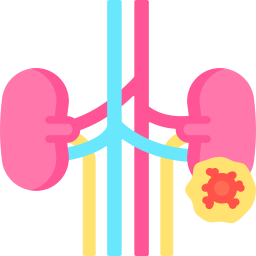 Почка бесплатно иконка Почка бесплатно иконка