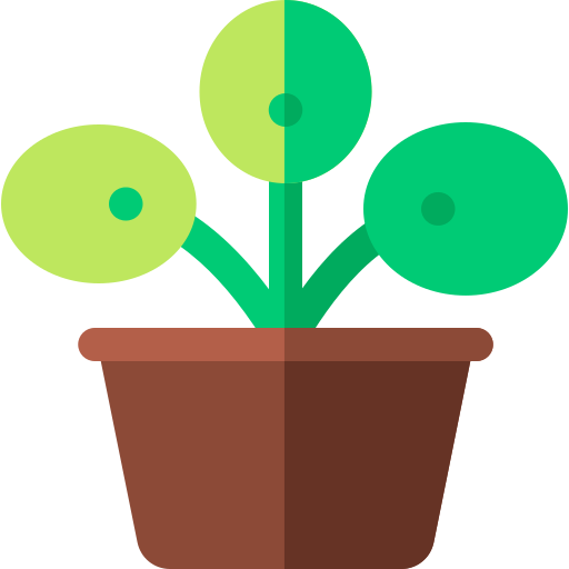 pilea peperomioides icono gratis