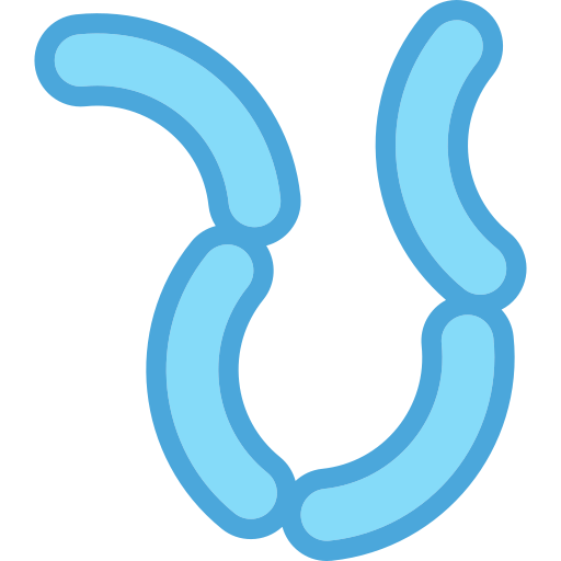 Sausage free icon