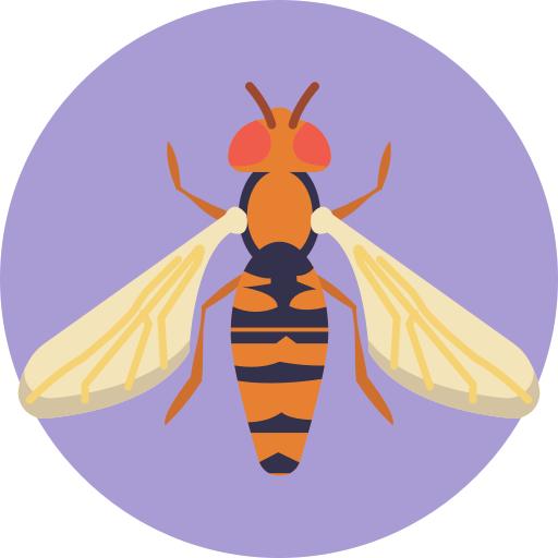 fliegen kostenlos Icon fliegen kostenlos Icon
