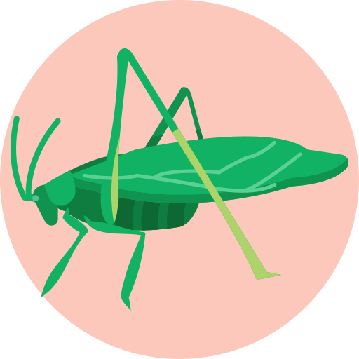 insecto icono gratis