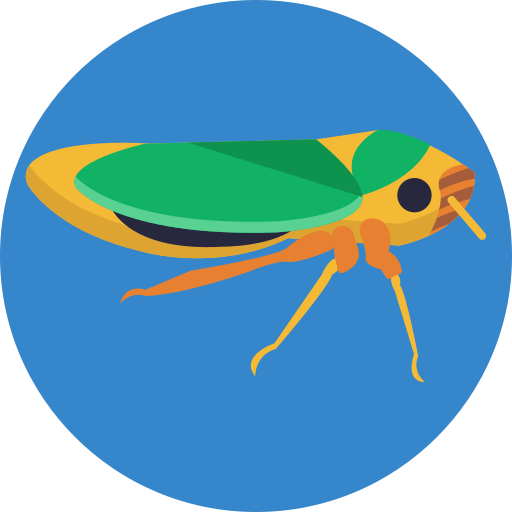 insecto icono gratis