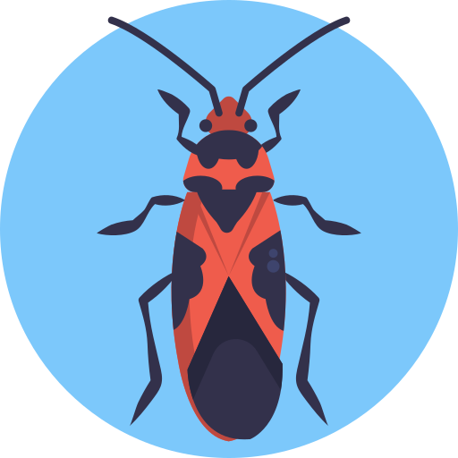 algodoncillo icono gratis