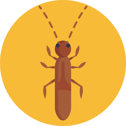 insecto icono gratis