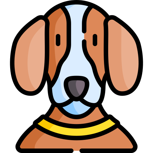 개 무료 아이콘