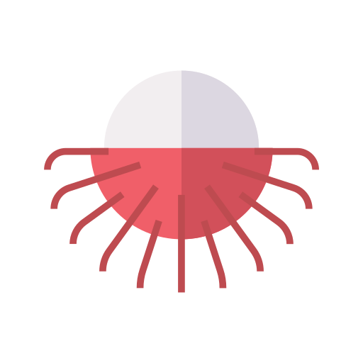 rambután icono gratis