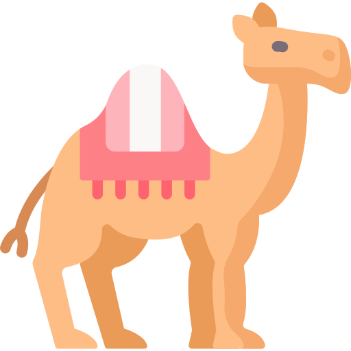 Dromedary free icon Dromedary free icon