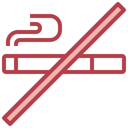 No smoke free icon