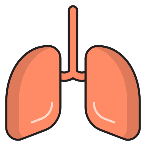 Lungs Vector Stall Lineal Color icon