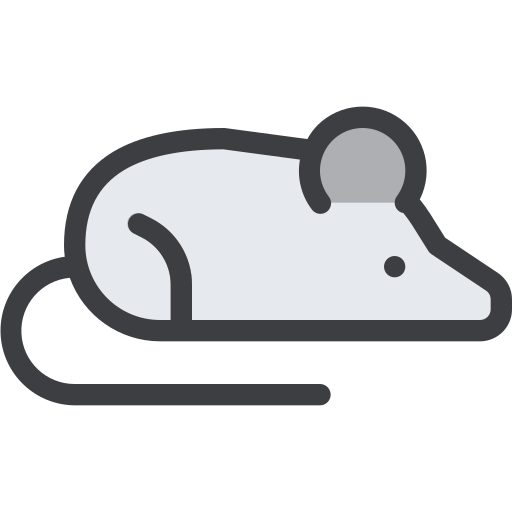 Rat Generic Outline Color Icon