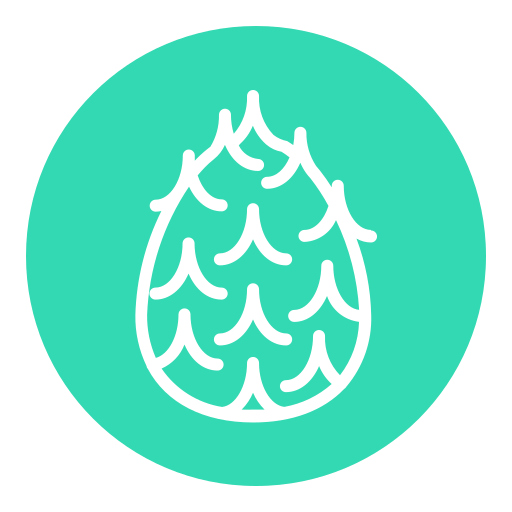 drachenfrucht kostenlos Icon drachenfrucht kostenlos Icon