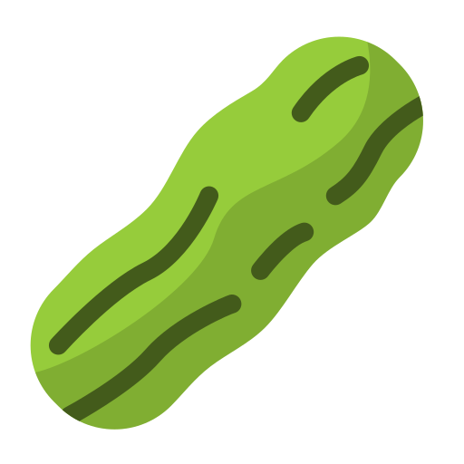 Bitter melon free icon