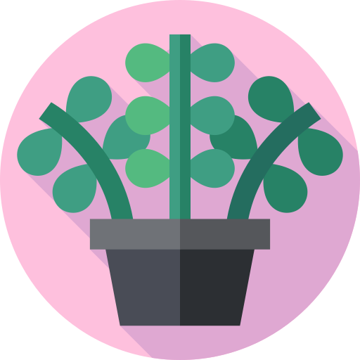 zamioculcas zamiifolia kostenlos Icon