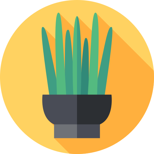 sansevieria kostenlos Icon sansevieria kostenlos Icon