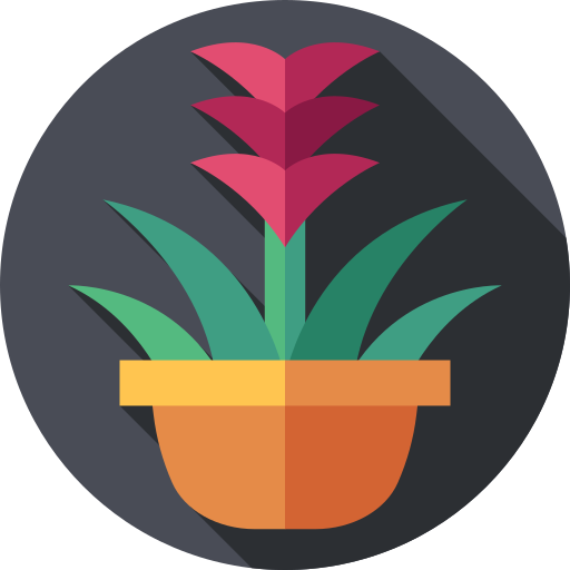guzmania grátis ícone guzmania grátis ícone