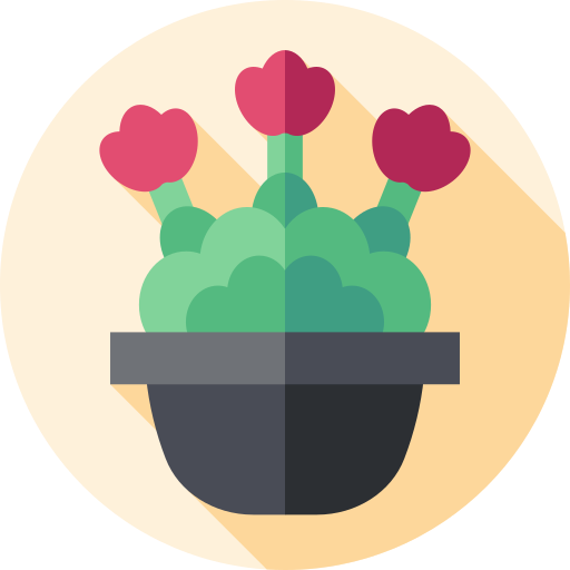 kalanchoe kostenlos Icon