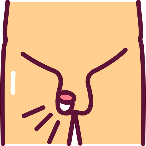 sistema reprodutivo grátis ícone