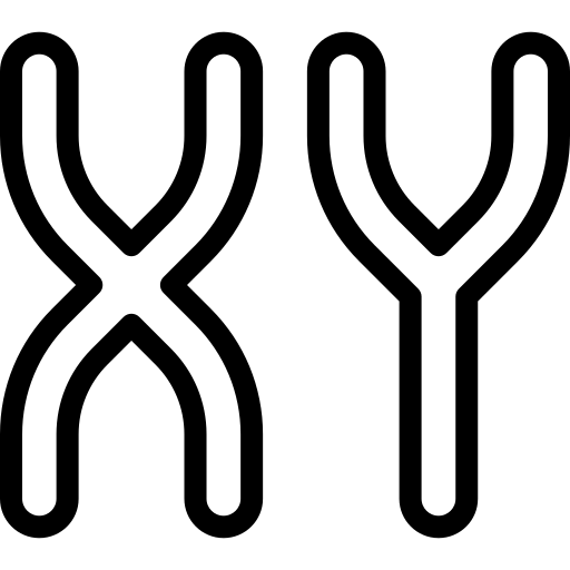 Chromosome free icon