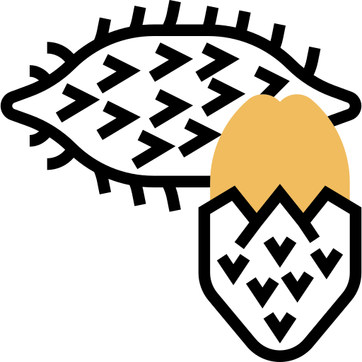 fruta grátis ícone fruta grátis ícone