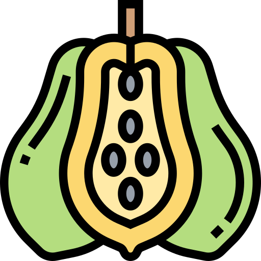papaya kostenlos Icon