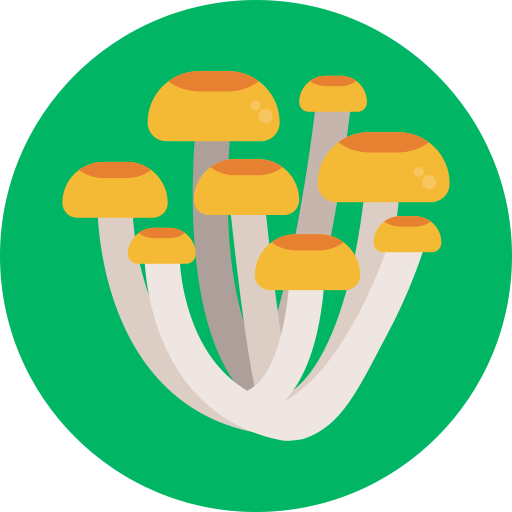 Гриб бесплатно иконка