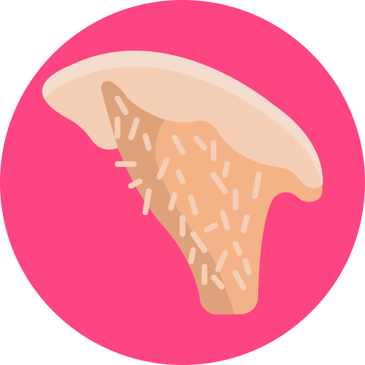 champiñón icono gratis