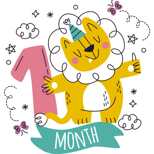 Baby months Stickers - Free time and date Stickers