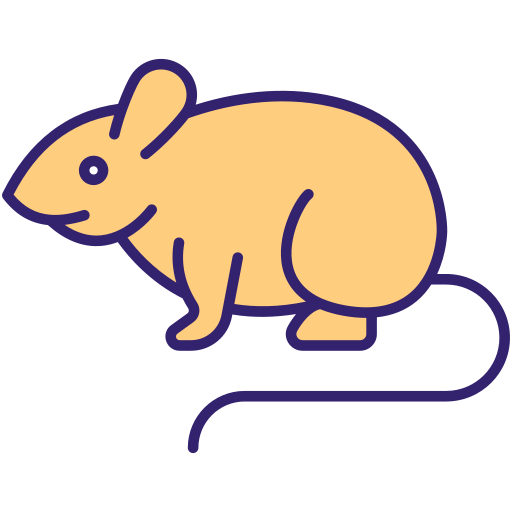 rat Icône gratuit