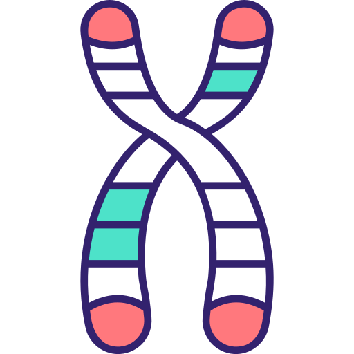 Chromosome - Free Education Icons