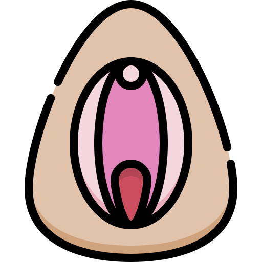 Обвисшие половые губы. Причины обвисших половых губ
