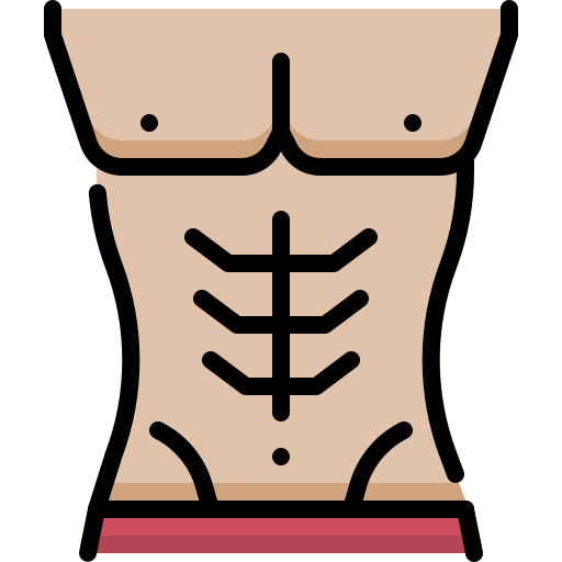 Sixpack abs Icon - Download in Colored Outline Style