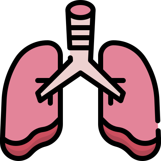 Lungs Generic Outline Color icon