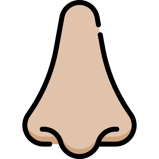 Nose Generic Outline Color icon