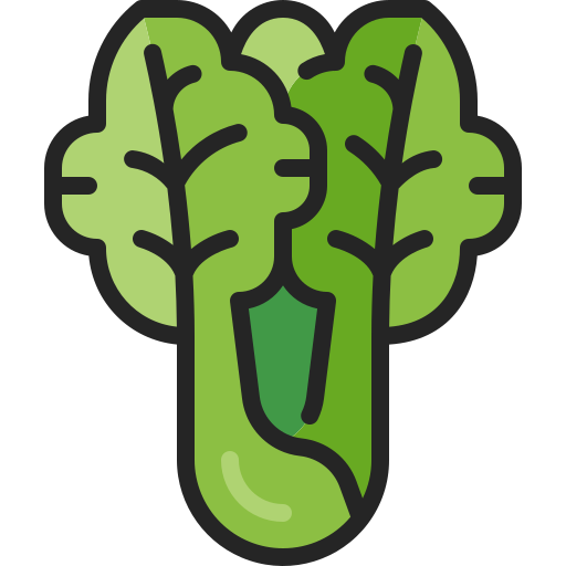 Латук бесплатно иконка Латук бесплатно иконка